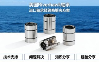 化工反应器搅拌系统：Riverhawk 5006-660单端轴承技术参数
