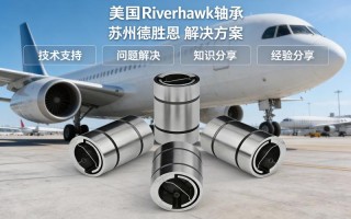 自由柔性 ® 枢轴轴承